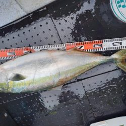 第二龍勢丸 釣果