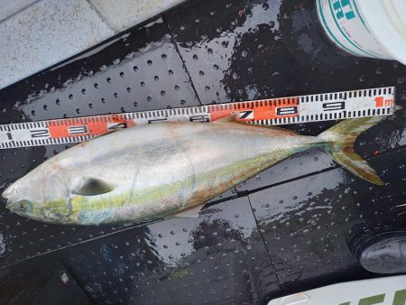 第二龍勢丸 釣果