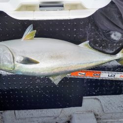 第二龍勢丸 釣果