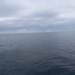 第二龍勢丸 釣果