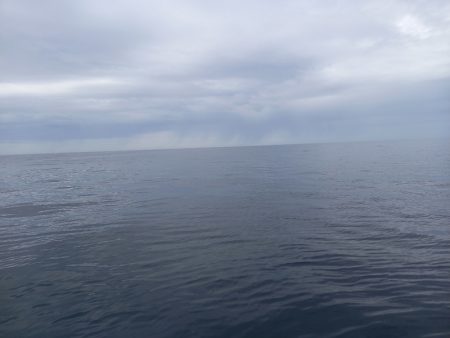 第二龍勢丸 釣果