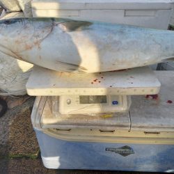 第二龍勢丸 釣果