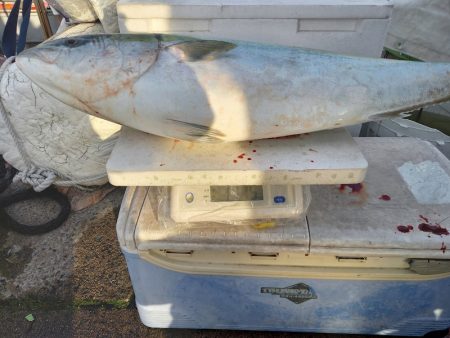 第二龍勢丸 釣果