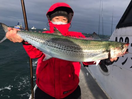 ランスルー 釣果