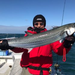 ランスルー 釣果