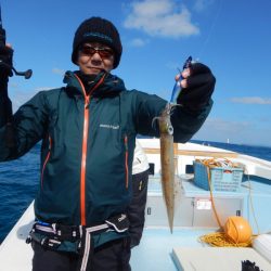 きずなまりん 釣果