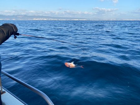 龍神丸（鹿児島） 釣果