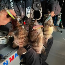 Chase(チェイス) 釣果