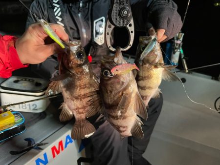 Chase（チェイス） 釣果