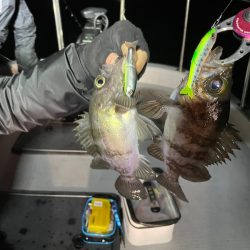 Chase(チェイス) 釣果