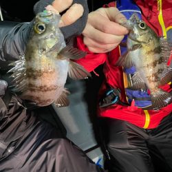 Chase(チェイス) 釣果