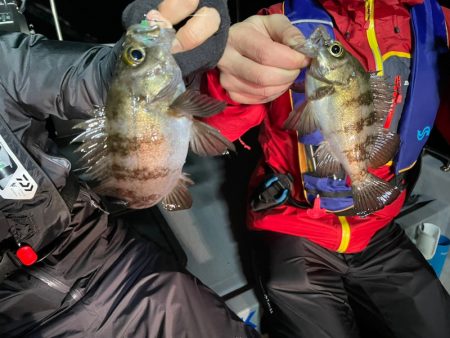 Chase(チェイス) 釣果