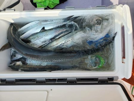 海龍丸（石川） 釣果