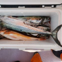 海龍丸（石川） 釣果