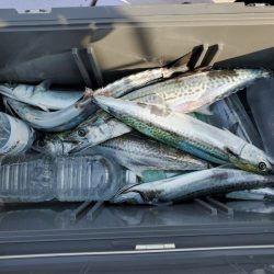 海龍丸（石川） 釣果