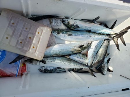 海龍丸（石川） 釣果