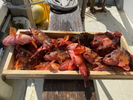 岡田釣船　八英丸 釣果