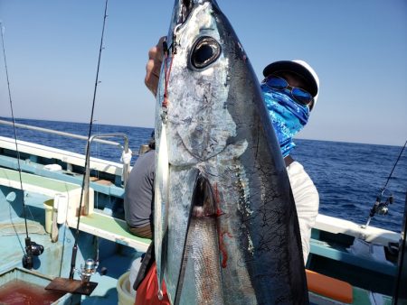 丸万釣船 釣果