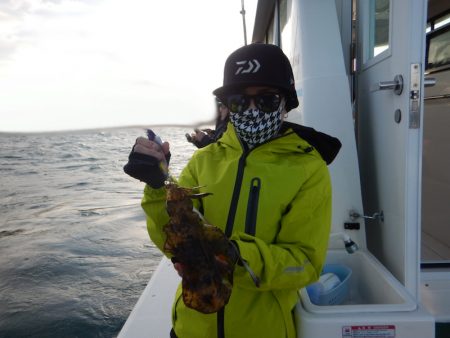 きずなまりん 釣果