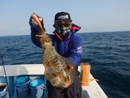 きずなまりん 釣果