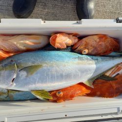 第二龍勢丸 釣果