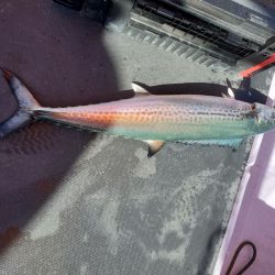 海龍丸（石川） 釣果