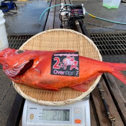 晃山丸 釣果