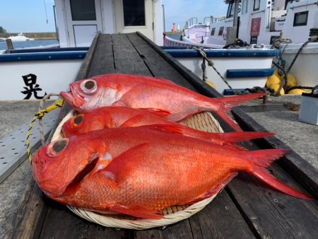 晃山丸 釣果