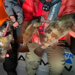 Chase(チェイス) 釣果