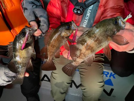 Chase(チェイス) 釣果