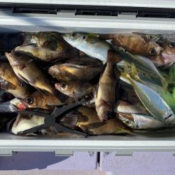 海龍丸（石川） 釣果