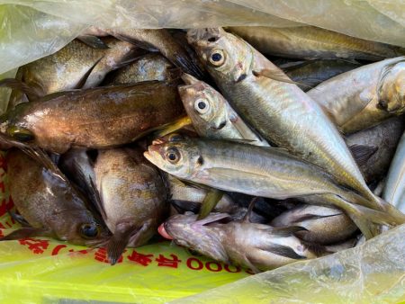 海龍丸（石川） 釣果