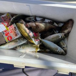 海龍丸（石川） 釣果