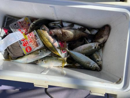 海龍丸（石川） 釣果