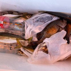 海龍丸（石川） 釣果