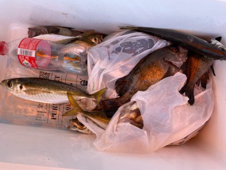 海龍丸（石川） 釣果