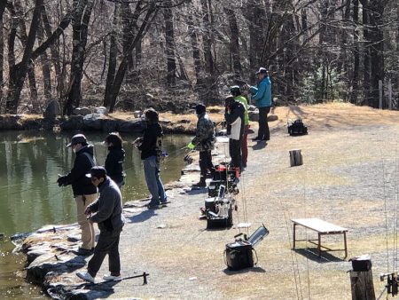 白州トラウトフィッシングエリア　シルフ 釣果