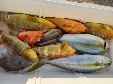 第二龍勢丸 釣果