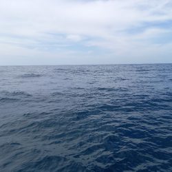 第二龍勢丸 釣果