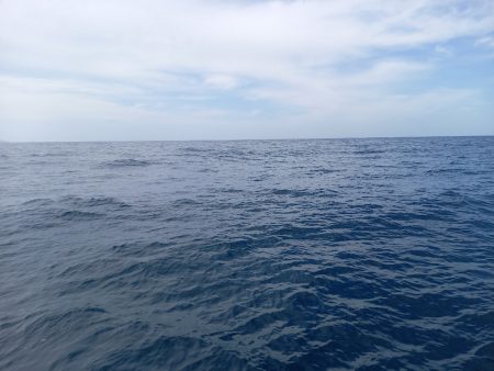 第二龍勢丸 釣果