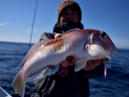 渡船屋たにぐち 釣果