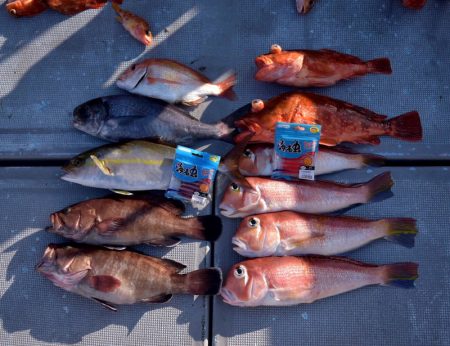 渡船屋たにぐち 釣果