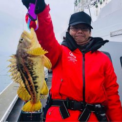 シーランチ 釣果