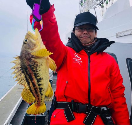 シーランチ 釣果