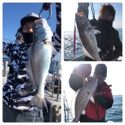 ビッグファイター 釣果