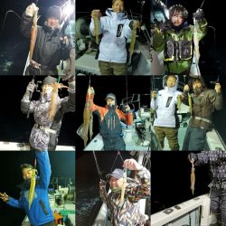 シーライオン 釣果