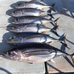 渡船屋たにぐち 釣果