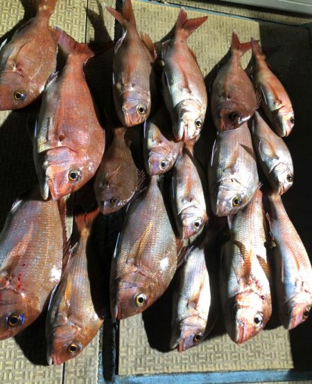 龍神丸（鹿児島） 釣果