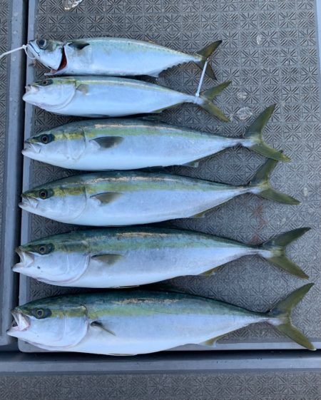 SeaRide(シーライド) 釣果