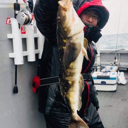 シーランチ 釣果